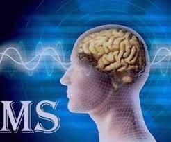 MS